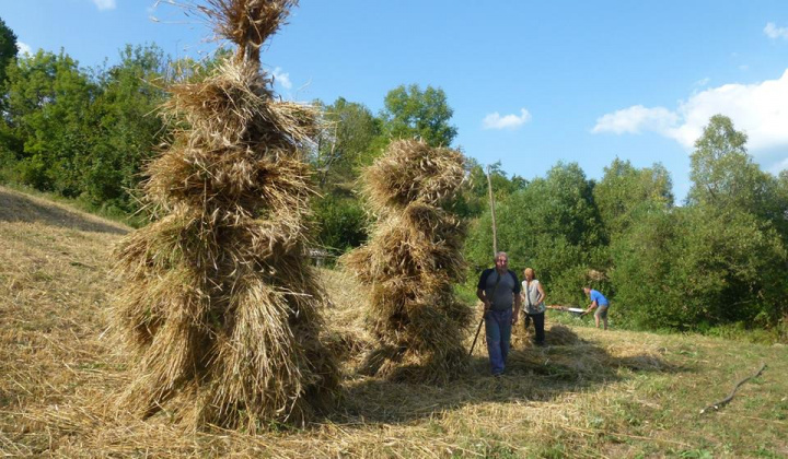 Dožinky a výstavba