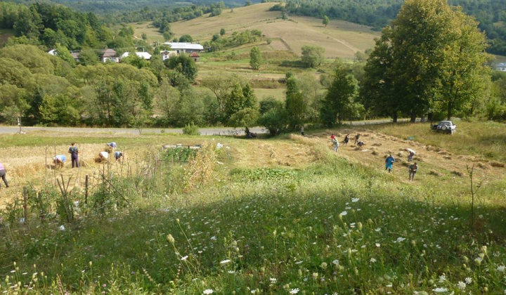 Dožinky a výstavba