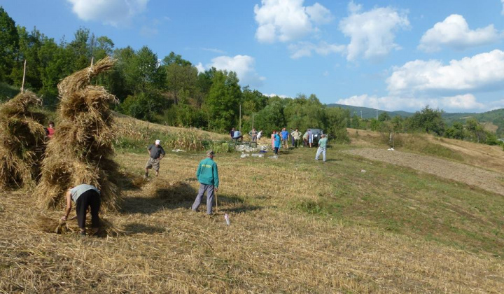 Dožinky a výstavba