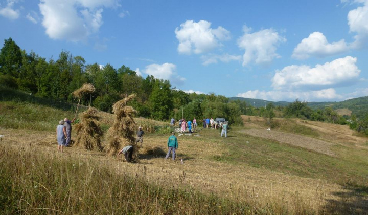 Dožinky a výstavba