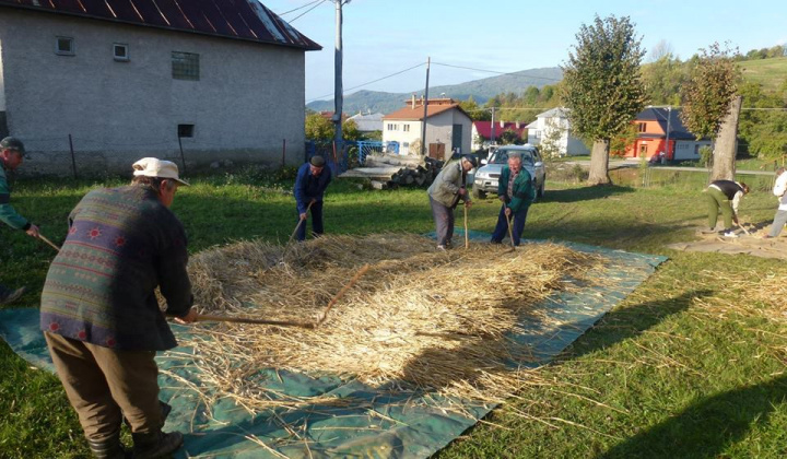 Dožinky a výstavba