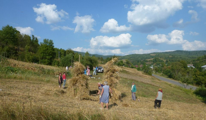 Dožinky a výstavba