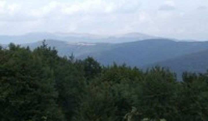 Turistika