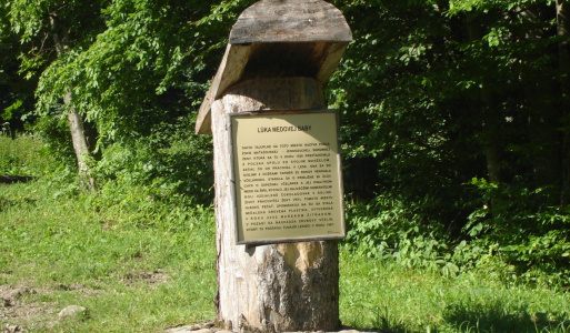 Kultúra 
