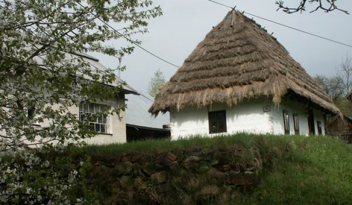 Kultúra