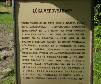 Kultúra