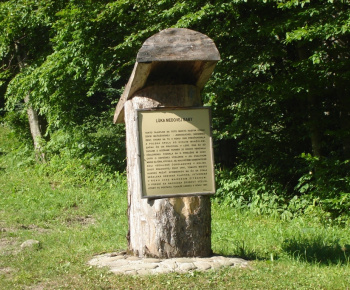 Kultúra
