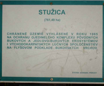 Šport