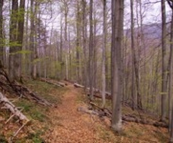 Šport